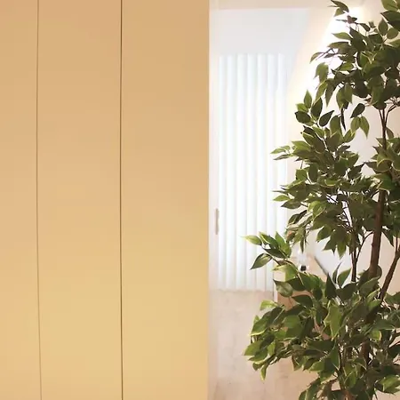Apartment Marques Center Flat