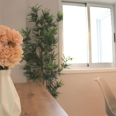 Apartment Marques Center Flat *